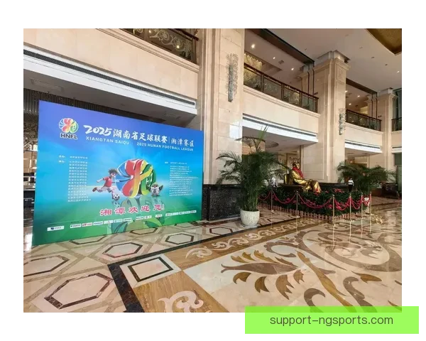 湖南超级联赛全面解析与区域足球发展新趋势研究